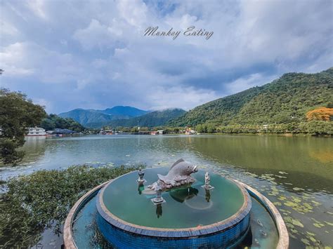 蝦公穴|【南投景點】埔里鯉魚潭風景區(寵物友善景點)，湖中橫跨的柳堤。